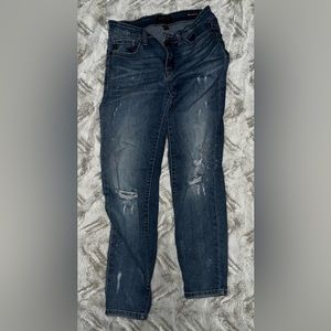 Judy blue skinny fit
